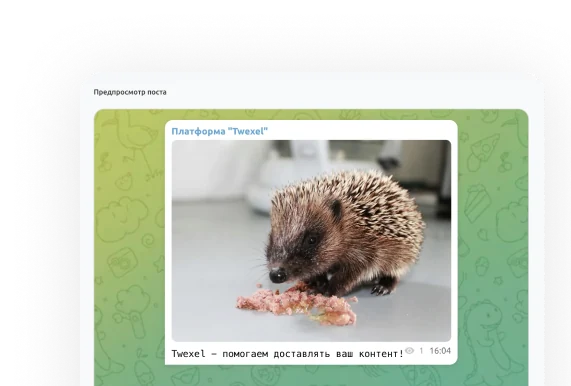 Предпросмотр поста
